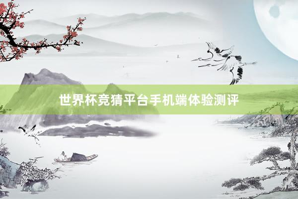 世界杯竞猜平台手机端体验测评