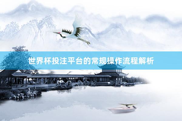 世界杯投注平台的常规操作流程解析